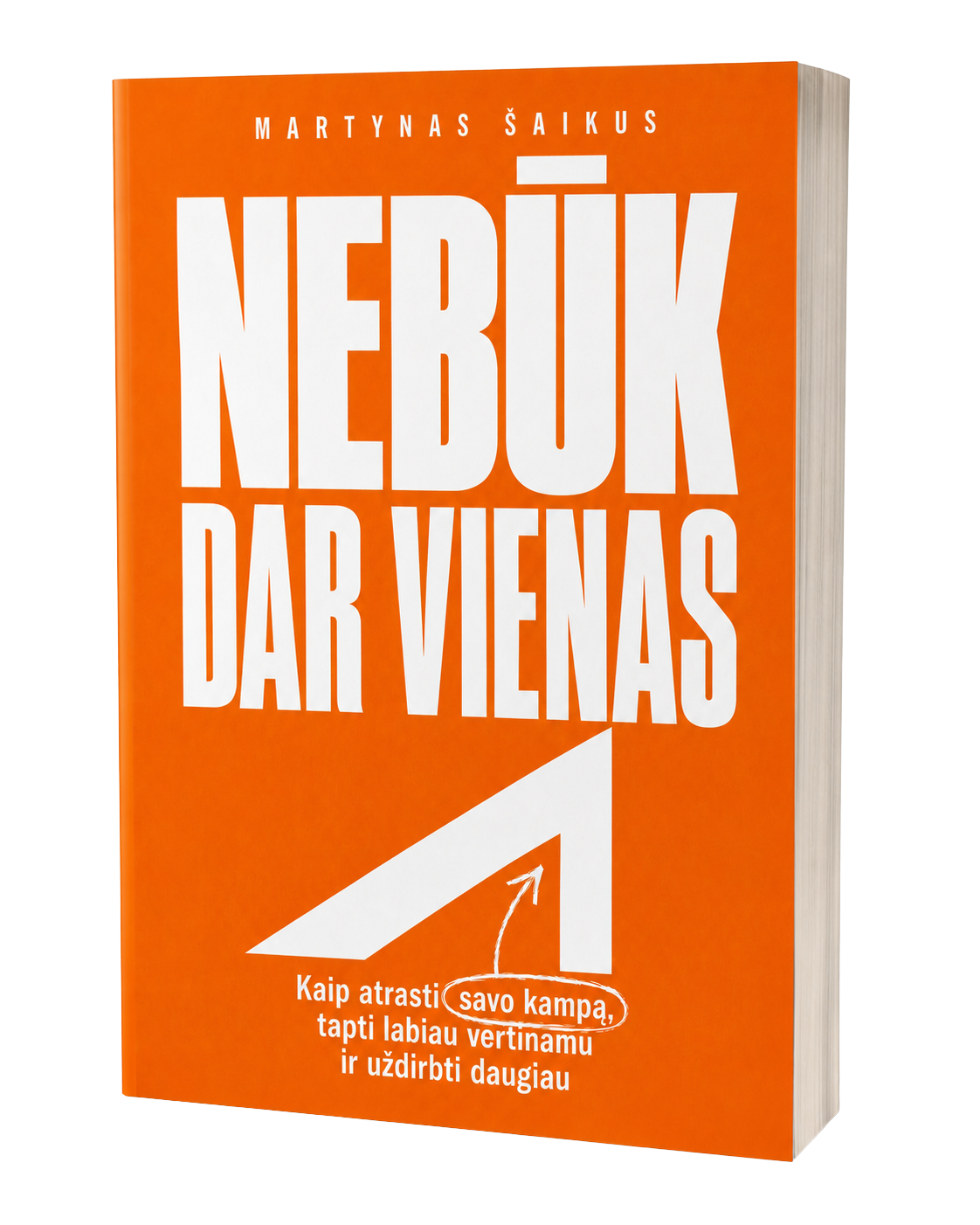 Spausdinta Martyno Šaikaus knyga „Nebūk dar vienas“